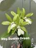 Rby. Suwan Green